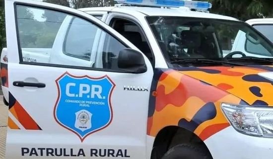 Actuaciones del CPR y del Destacamento Vial